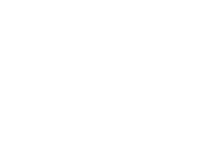 processed image